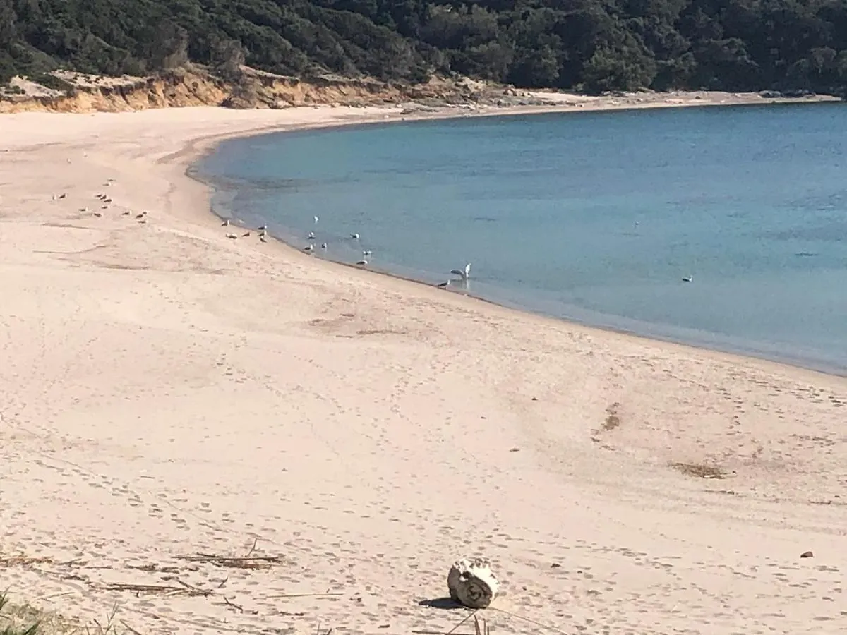 Miramare Isola Rossa Διαμέρισμα  Isola Rossa (Sassari)